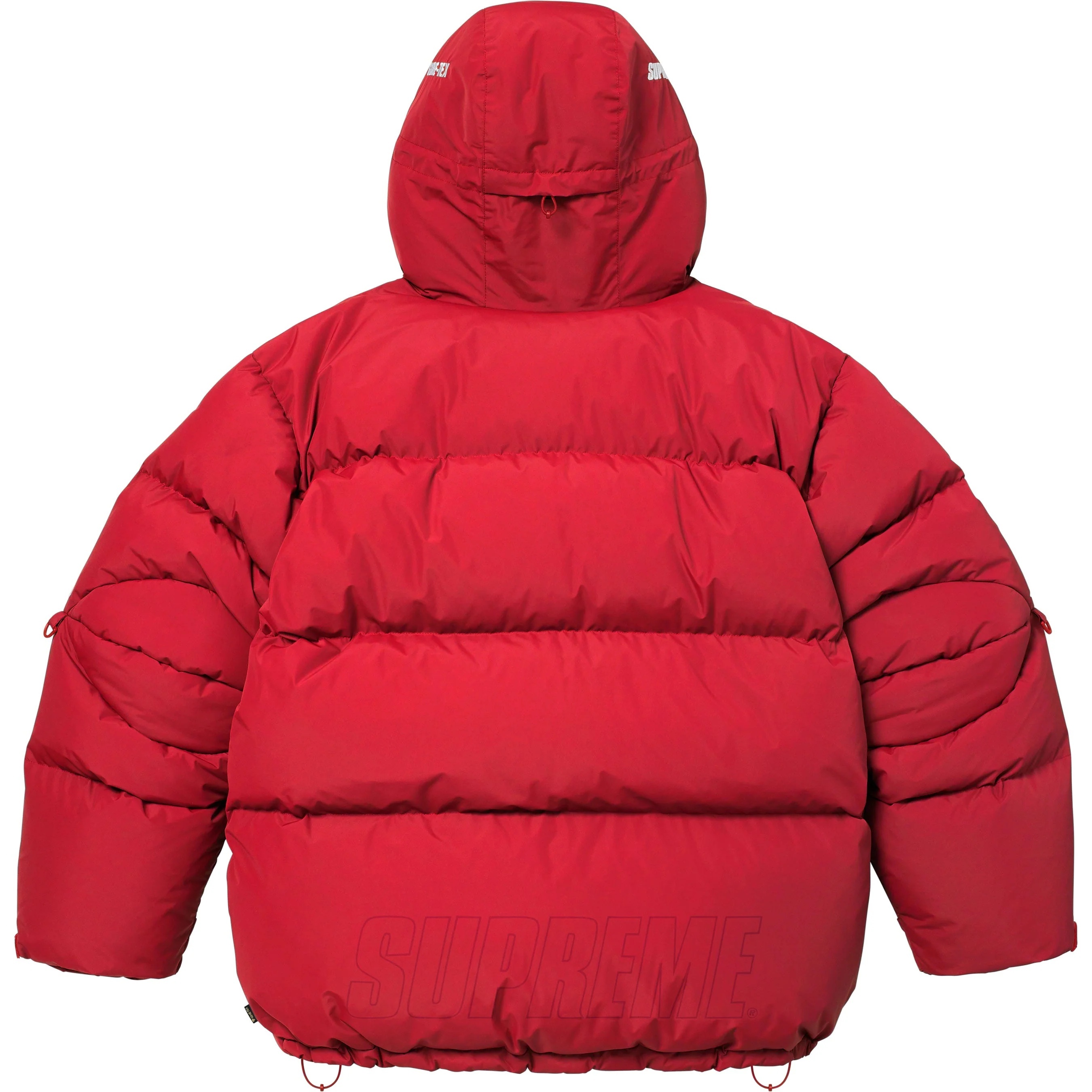 GORE-TEX 900-Fill Down Parka view 10
